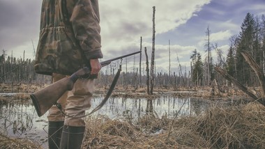 zakaz polowań na 5 gatunków ptaków od 2 stycznia 2026. zmiany w prawie