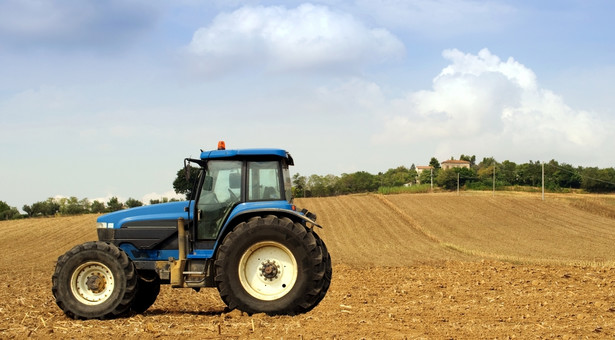 Spis rolny pokazał tendencję polegającą na zmniejszaniu się liczby gospodarstw rolnych