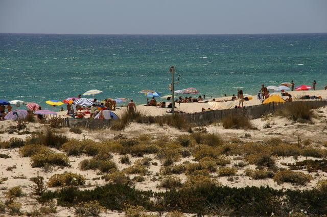 Galeria Portugalia - Algarve - Ria Formosa, obrazek 7