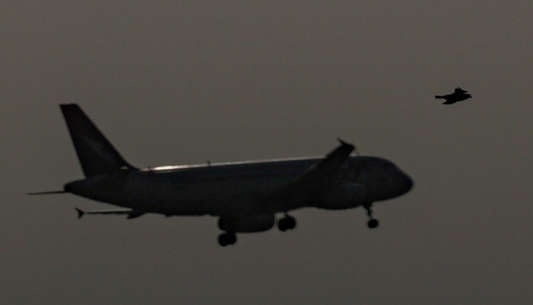 Biurom podróży groziło bankructwo. Ale to to nie koniec problemów. Jedni stracą, inni zyskają"