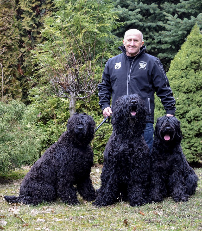 Marek Cieślak ostro o Tomaszu Gollobie!