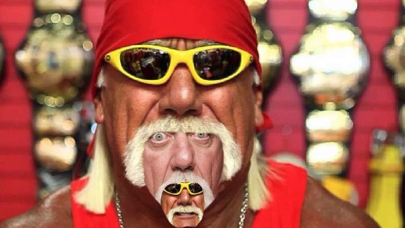 Here Are All the Best Hulk Hogan Memes. You're Welcome. - Pulse Nigeria