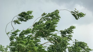 Niż Tymoteusz. Dziesiątki zdarzeń atmosferycznych w związku z silnym wiatrem na północy Polski