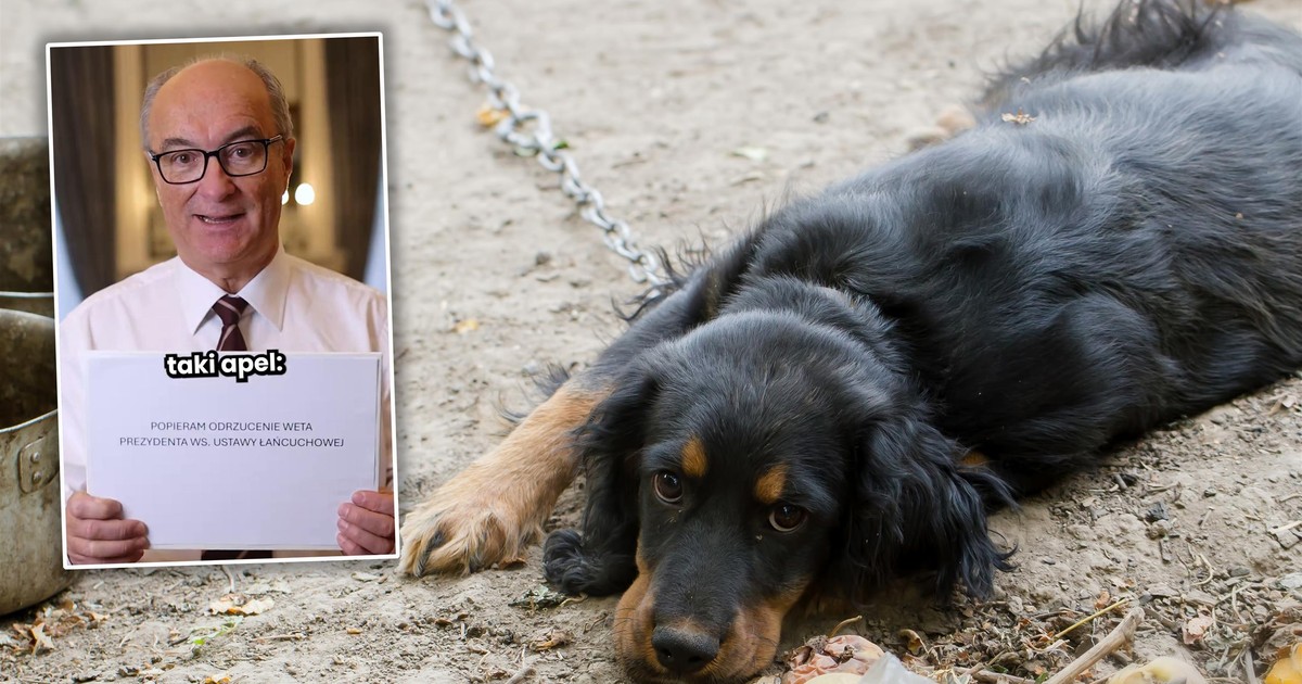 Czarzasty wystąpił przeciwko Nawrockiemu. Nagle wystosował apel [WIDEO]