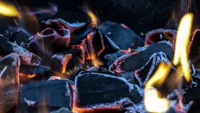 Beliebte Aschesauger für Kamin und Grill im Vergleich