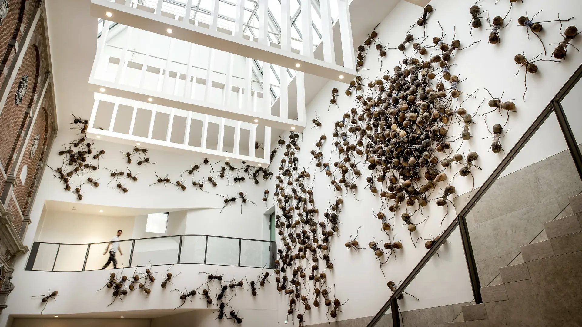 Przestali sprzątać muzeum w imię sztuki. Robaki stworzyły naturalną wystawę