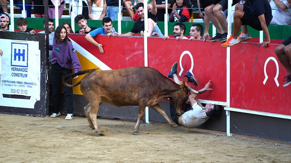 Hiszpania: rekordowa liczba ofiar “zabaw” z bykami – 11 zabitych i blisko 400 rannych