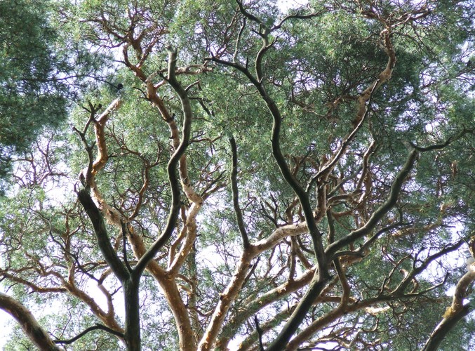 Uroki Puszczy Białowieskiej © www.tydecydujesz.orgFot. Jacek Winiarski