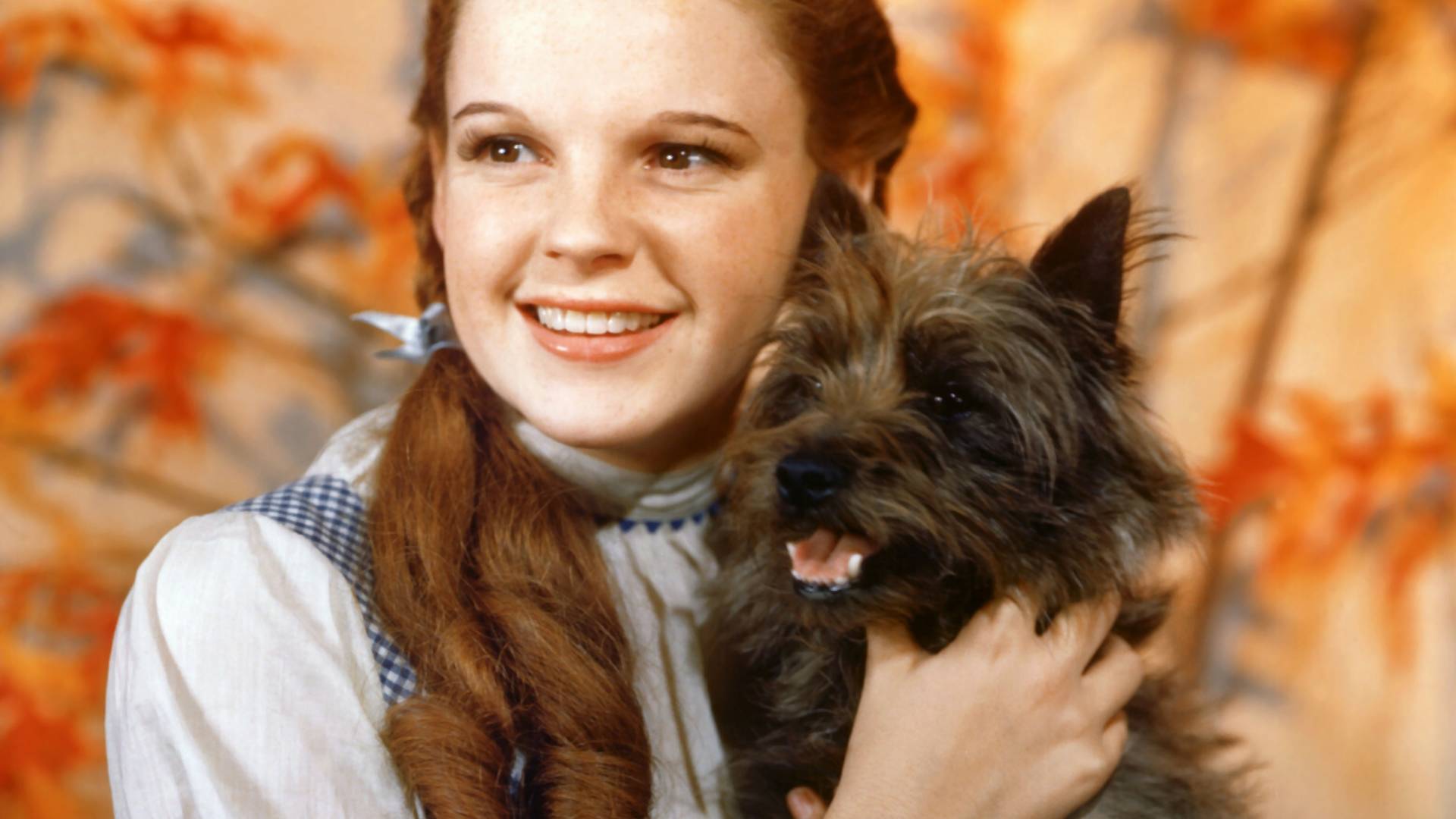 Dzieciństwo Judy Garland. Matka podawała jej amfetaminę, a wytwórnia kazała palić papierosy