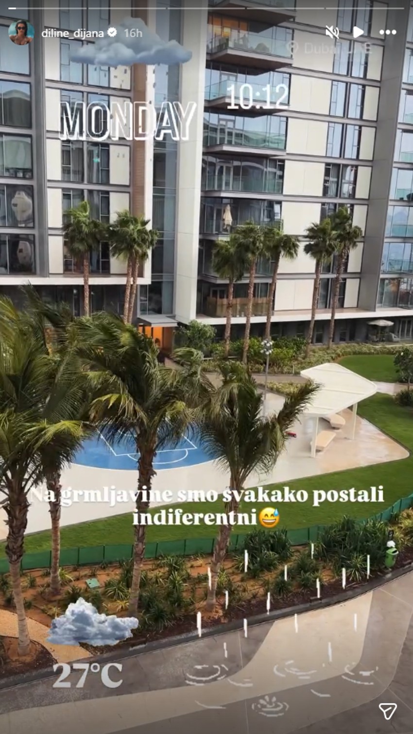 Dijana Diline, objava