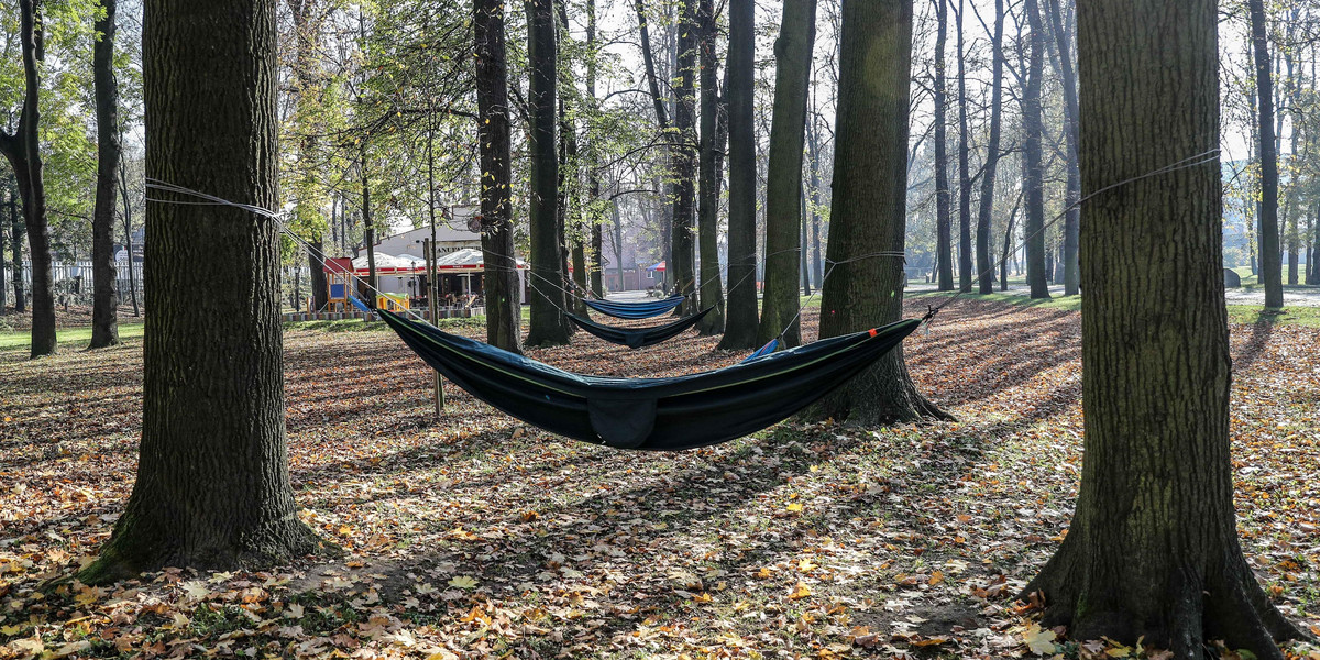 Park Zdrojowy przy rondzie Matecznego w Krakowie