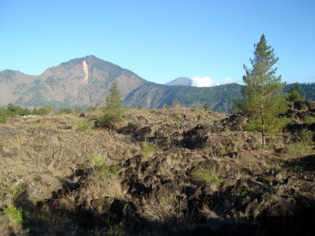 Galeria Indonezja - migawki z Bali, obrazek 30