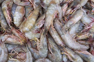 Zła wiadomość dla smakoszy owoców morza - zdrożeją krewetki