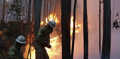 Kalifornia płonie. Ewakuowano setki mieszkańców