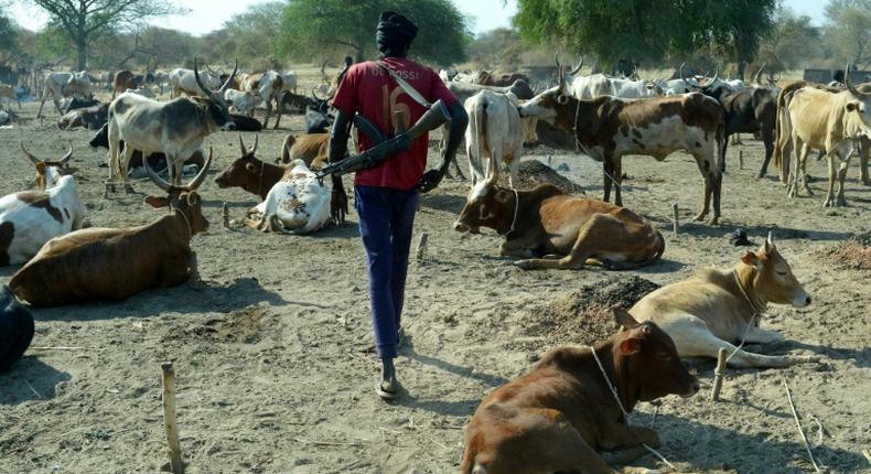 3 men lynched on suspicion of cattle theft 