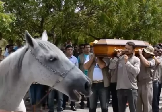 Koń pożegnał swojego właściciela na pogrzebie. "To brzmiało jak płacz"