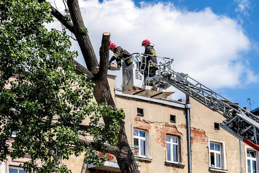 Przechylone drzewo zablokowało skrzyżowanie ulicy Zielonej i Strzelców Kaniowskich