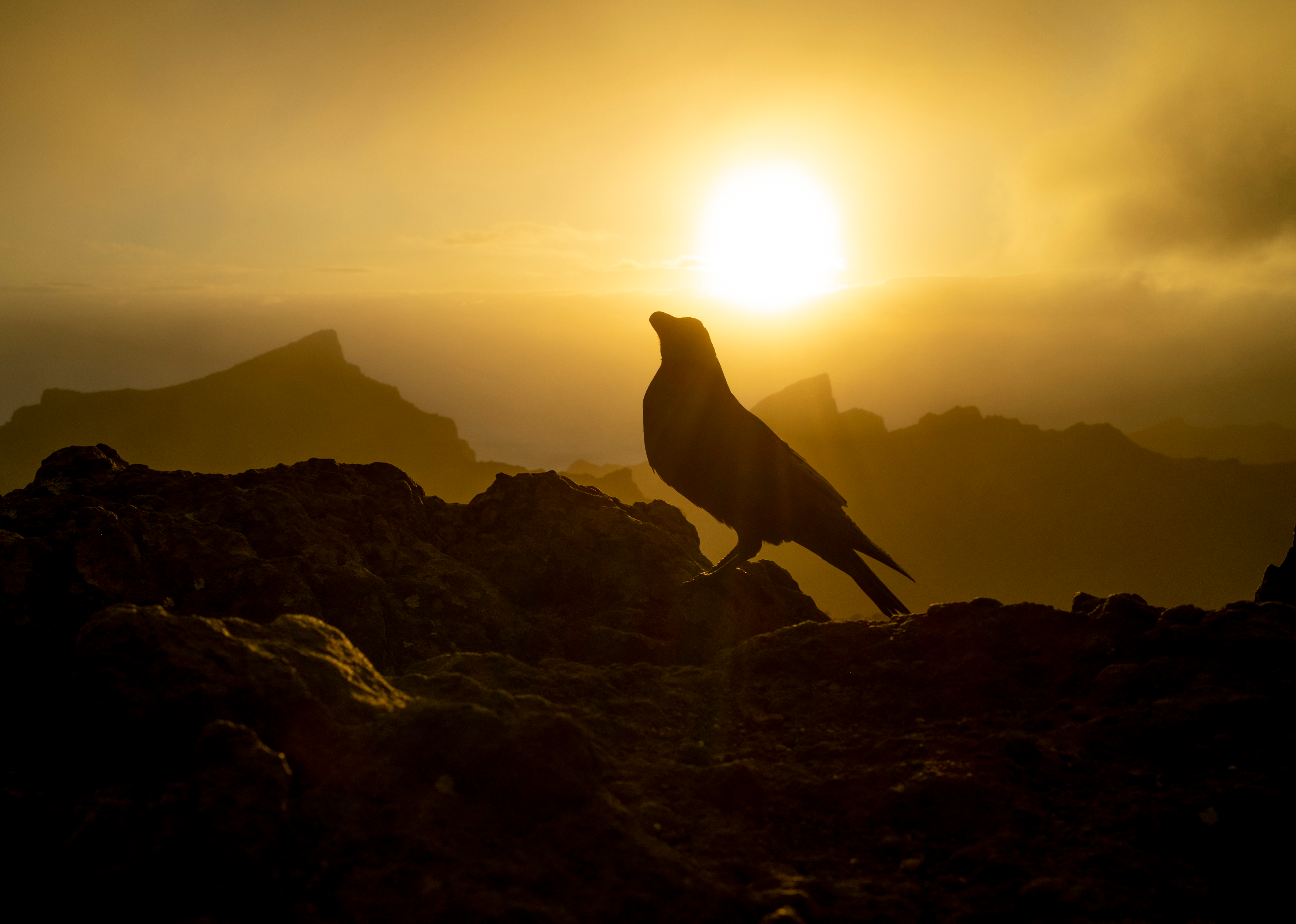 Jay Slater inquest: Drugs and 14-hour walk before death