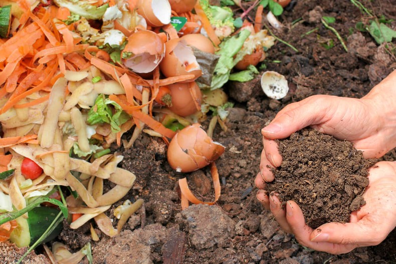 Compost your food scraps [LoveFoodHateWaste]