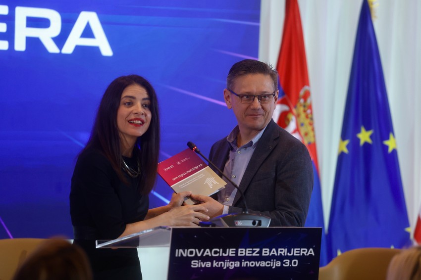 Siva knjiga inovacija