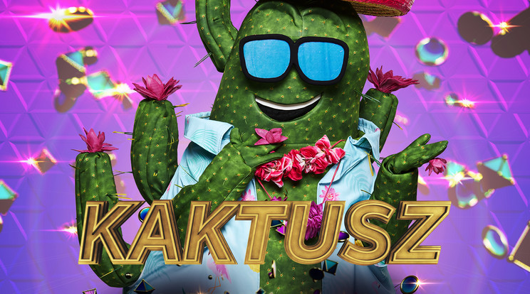 A szúrós Kaktusz a műsor eddigi legnagyobb jelmeze, ah-hoz is több ember segítsége kell, hogy eljusson a színpadig /Fotó: RTL Klub