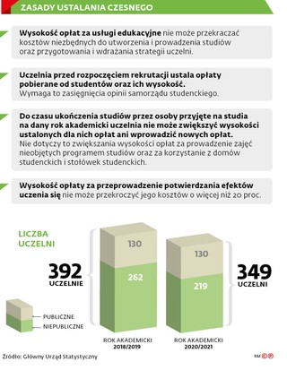 Zasady ustalania czesnego