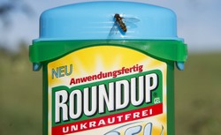 Historyczny wyrok. Producent popularnego środka na chwasty zapłaci rekordowe odszkodowanie ogrodnikowi choremu na raka
