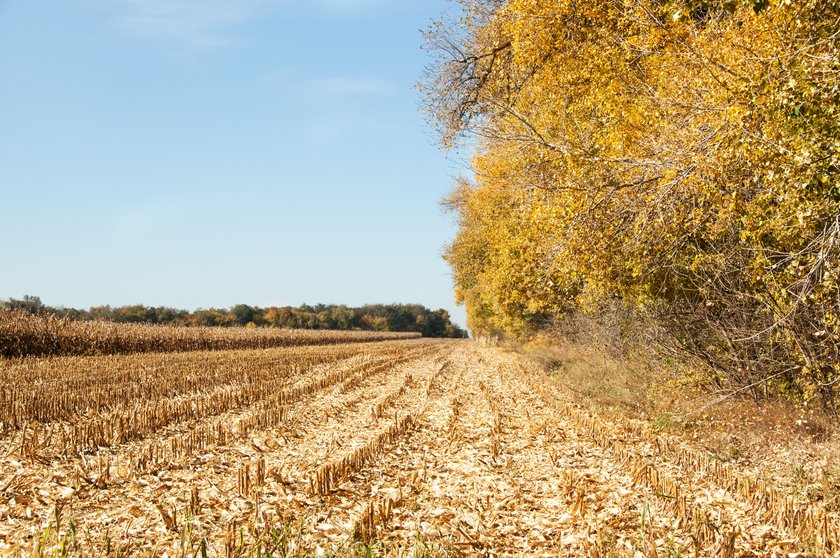 Synoptycy alarmują. Chodzi o niski poziom opadów