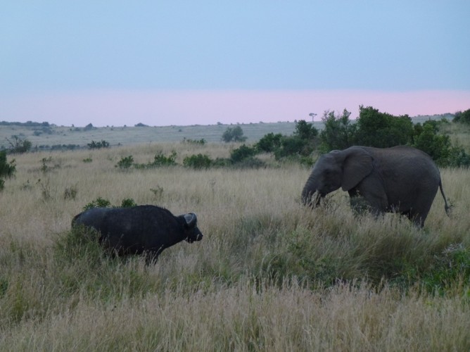 Starcie gigantów...