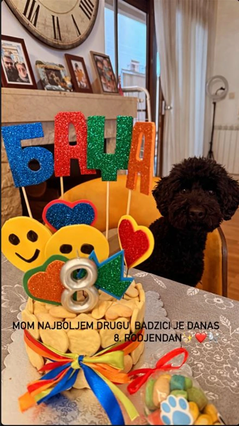 Tiijana Dapčević slavi psu rođendan