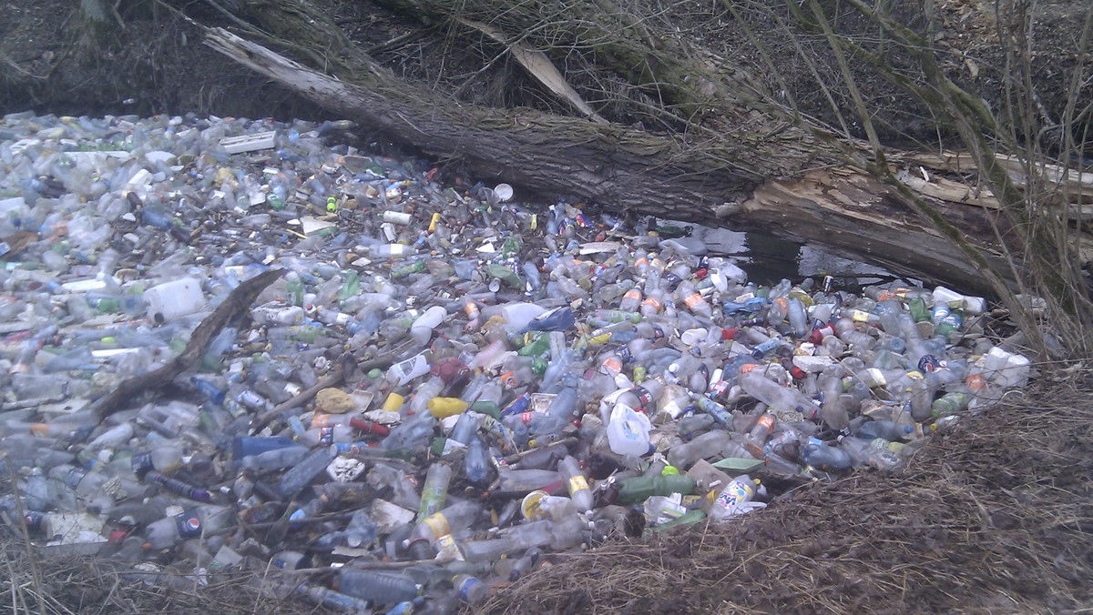 W dzielnicy Prądnik Biały w Krakowie na terenie użytku ekologicznego Dolina Prądnika zalegają hałdy śmieci. Problem z czystością w tym rejonie trwa od lat. Wiele osób by oszczędzić na wywozie odpadów wrzuca je do rzeki. Przewodniczący rady dzielnicy przyznał, że sprawa została juz zgłoszona do Straży Miejskiej jako priorytet na wiosnę.