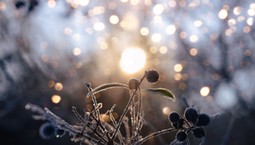 Przesilenie zimowe 2025. Te cztery znaki zodiaku poczują, że żyją