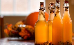 Wzmacnia odporność, odbudowuje mikrobiotę: KOMBUCHA. Ale trzeba z nią uważać