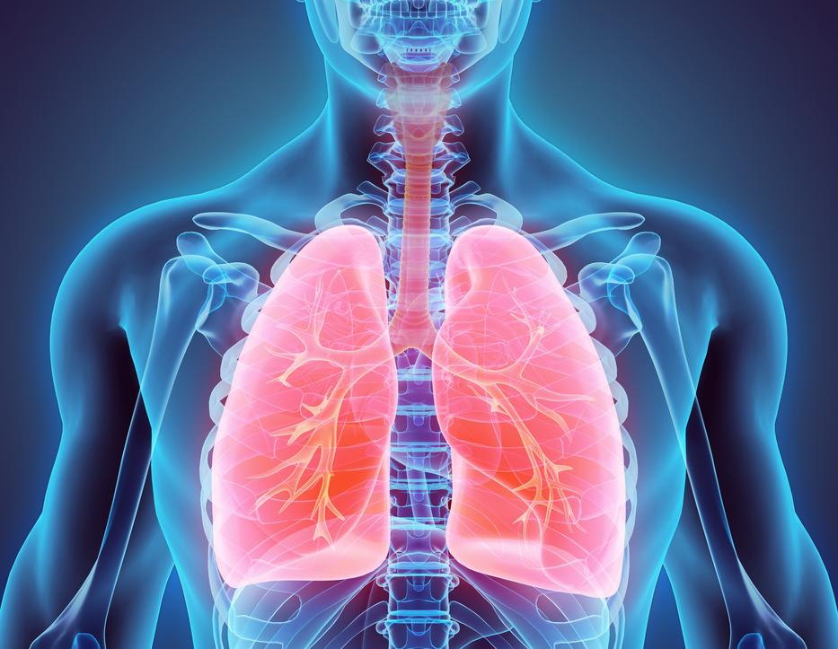 Itt egy egyszerű, otthoni módszer, hogy felfrissítsd a tüdőd: a tüdő méregtelenítésének legegyszerűbb módja fotó: Getty Images