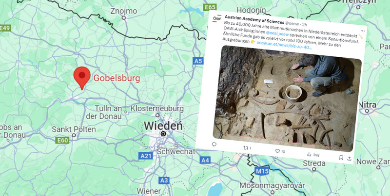 Wyjątkowe odkrycie w Austrii. Kości mamutów sprzed 40 tys. lat