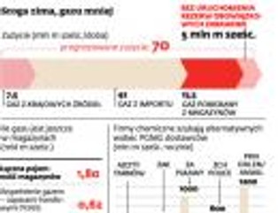 PGNiG przykręca kurek z gazem największym odbiorcom. Minister gospodarki uwolni zapasy