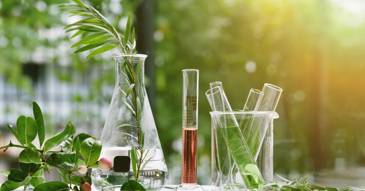 Piekielnie trudny QUIZ z biologii. Licealista sobie poradzi, a Ty? Dwa pytania są dość proste