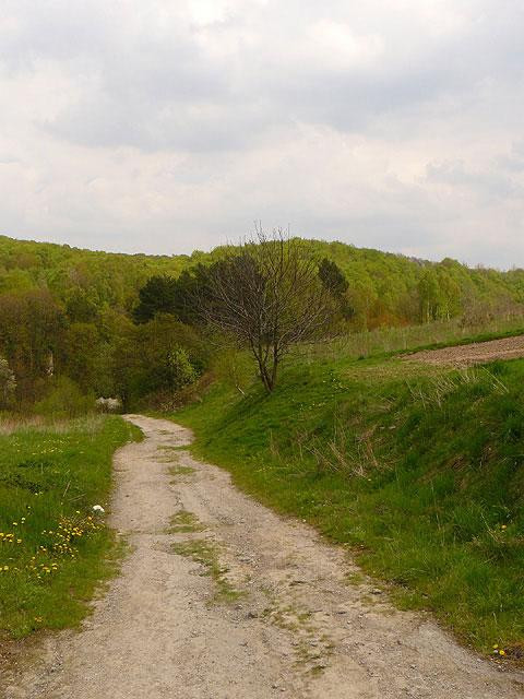 Galeria Polska - okolice Krakowa - Dolina Kobylańska, obrazek 3