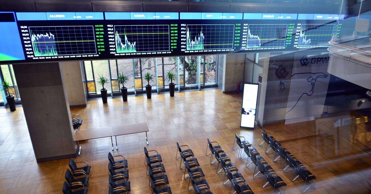 Polish stock marketplace  index breaks records. Is this the beginning of a large  rebound? An expert comments