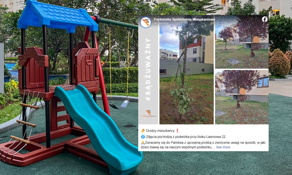 Spółdzielnia apeluje do mieszkańców. Powodem zachowanie dzieci pod drzewami