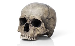 A to ciekawe! W czaszce sprzed 100 tys lat zachowały się zmiany świadczące o...