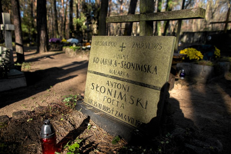 Cmentarz leśny w Laskach