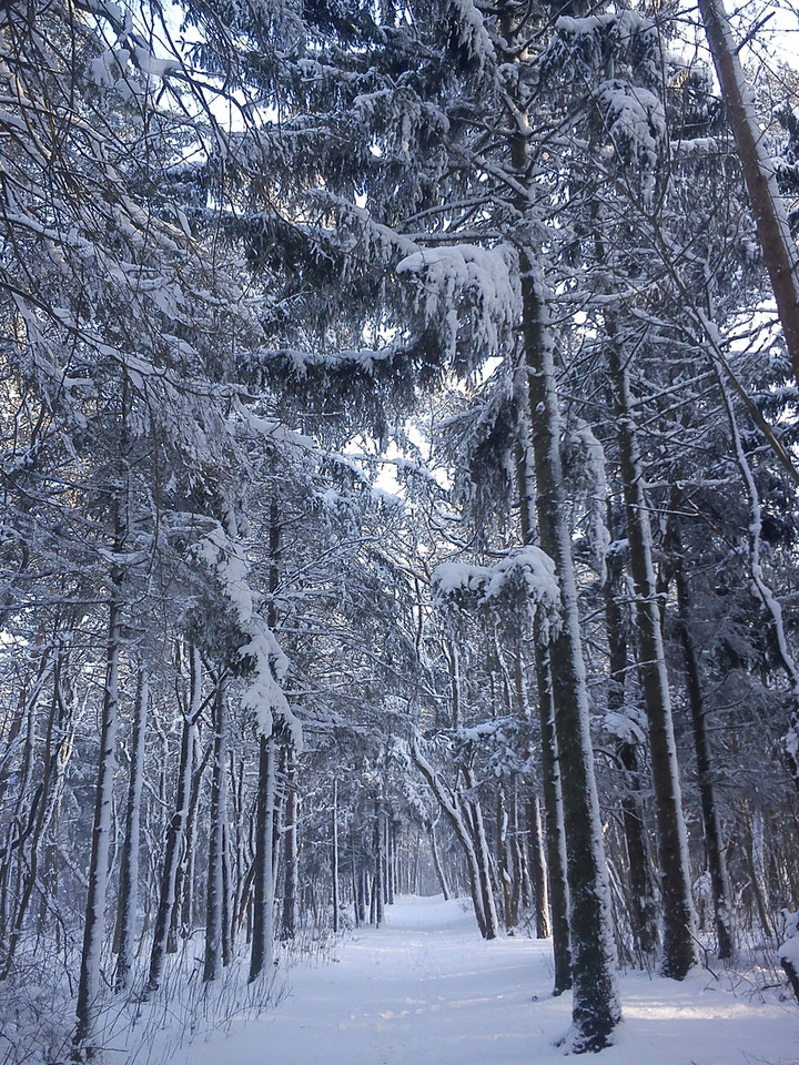 Zima w nadmorskiej Jastrzębiej Górze, Fot. Daj znać!