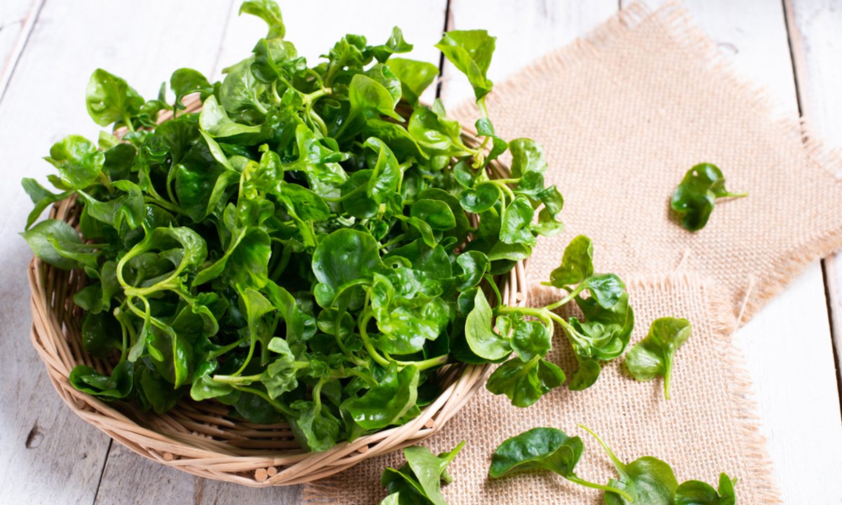 To najzdrowsze warzywo na świecie. Wygrało w najważniejszym rankingu