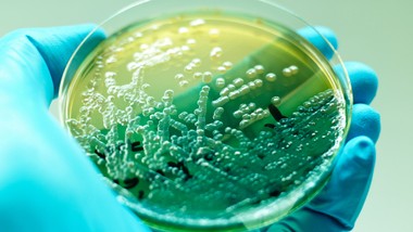 szpital w radomiu wstrzymał planowe przyjęcia wykryto niebezpieczną bakterię