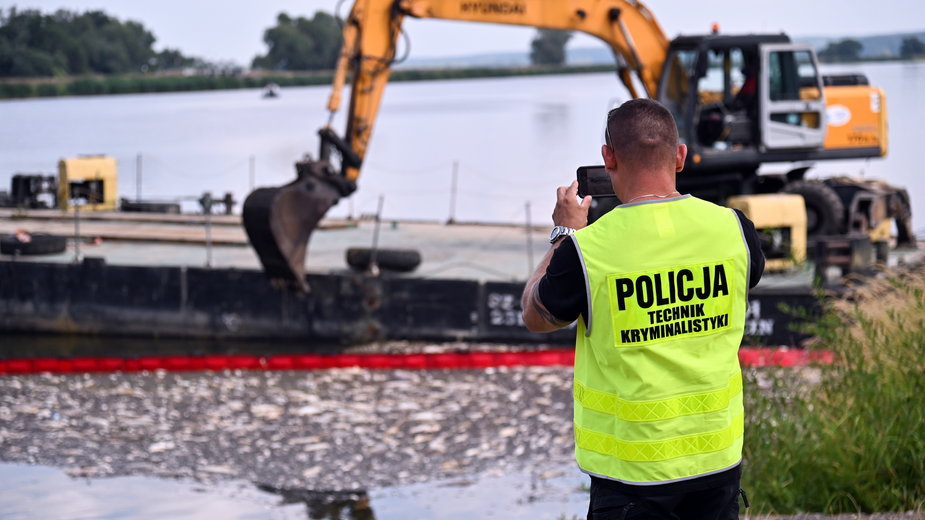 Krajnik Dolny. Akcja usuwania martwych ryb z Odry (15.08.2022)