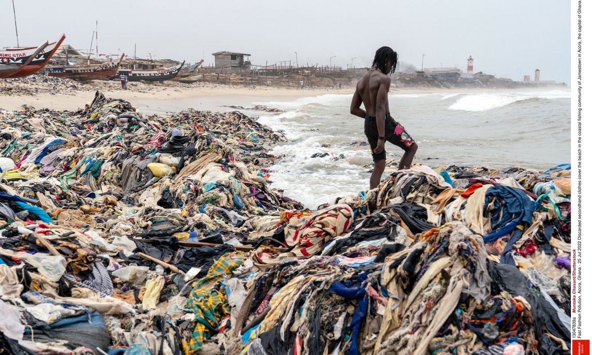Wysypisko ubrań na chronionych mokradłach. Chodzi o znane marki