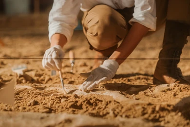 Niezwykłe odkrycie archeologów z Łodzi. Groby i szkielety sprzed 1000 lat przy romańskiej świątyni