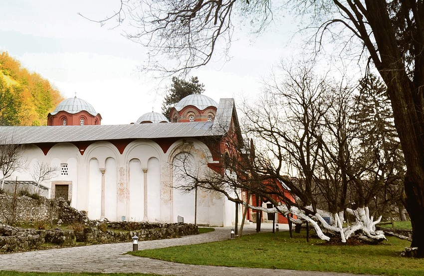 Stablo šam-duda, crnog duda u porti Pećke patrijaršije, čiju je sadnicu donio arhiepiskop Sava Drugi iz Sirije, a na povratku iz Jeruzalema, te zasadio između 1263. i 1272. godine