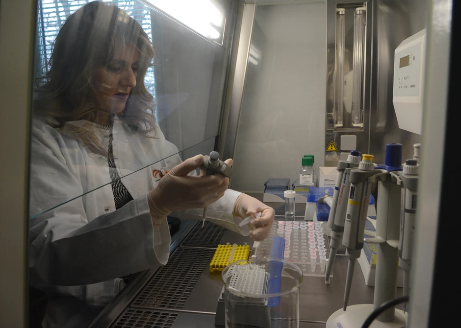 Dragana Zgonjanin Bosić